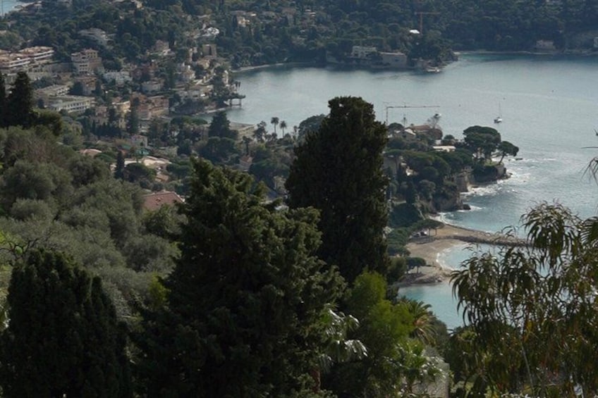 Un paese costiero con edifici, alberi e un corpo d'acqua. 2