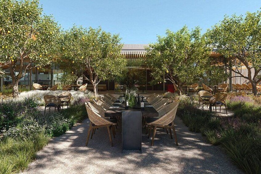 Napa Valley Pioneer Tasting at Robert Mondavi Winery 4