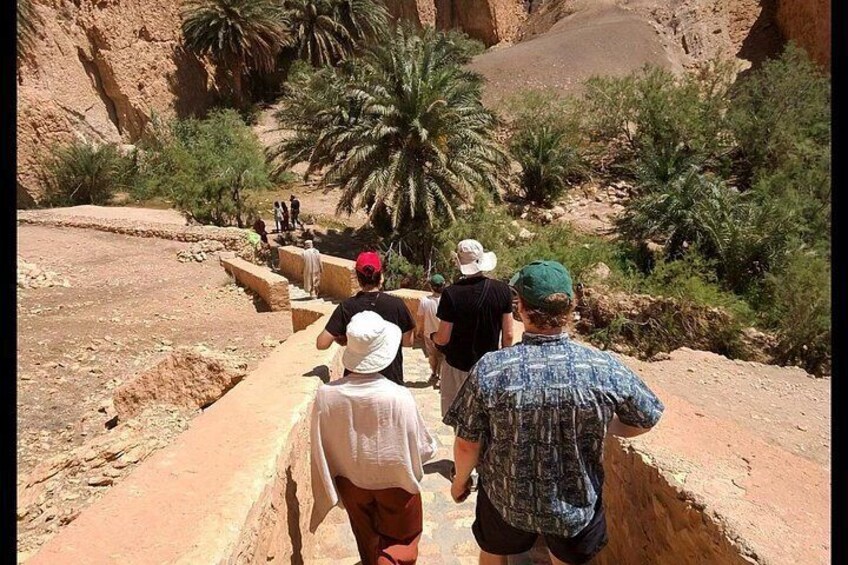 Visit of the Chebika Oasis 4