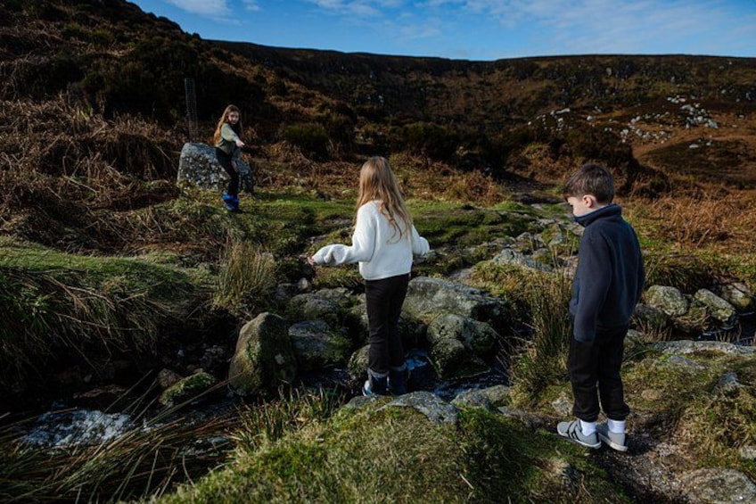 Private Day Tour in Wicklow Mountains and Vacation Photography 1