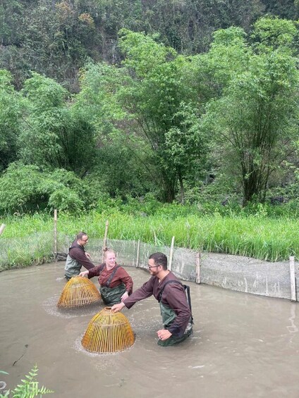 Picture 1 for Activity Ninh Binh: Buffalo riding, rice planting group tour 3