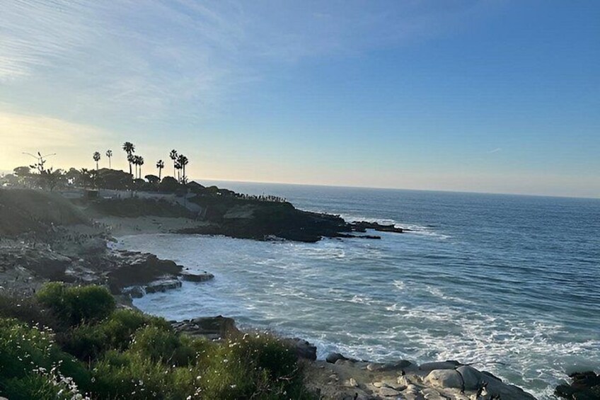 Sourdough by the Sea — La Jolla Baking Workshop 2