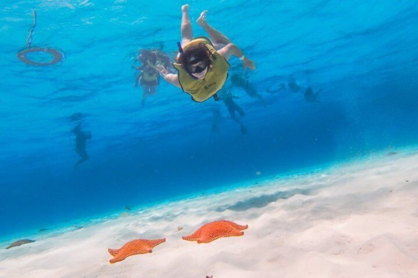 Cozumel: Water Park and Zipline with El Cielo in Kuza Adventure 3