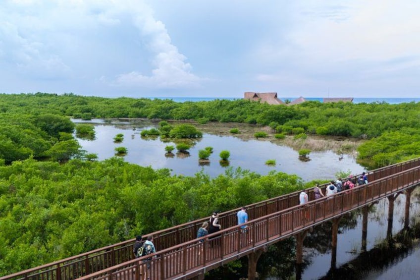 A wooden bridge over a marshy area with people walking, surrounded by dense greenery and a distant building. 2