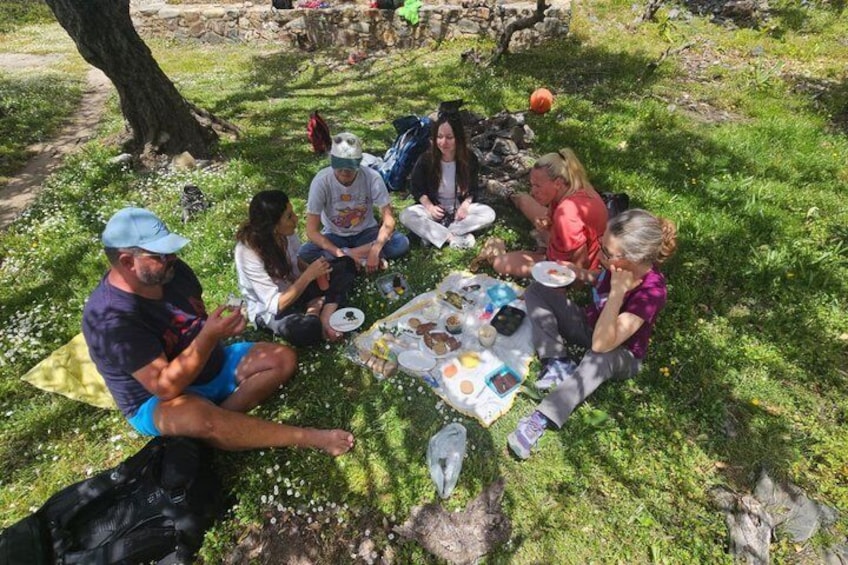 A group of people sitting on the grass around a picnic table with food and drinks. 3