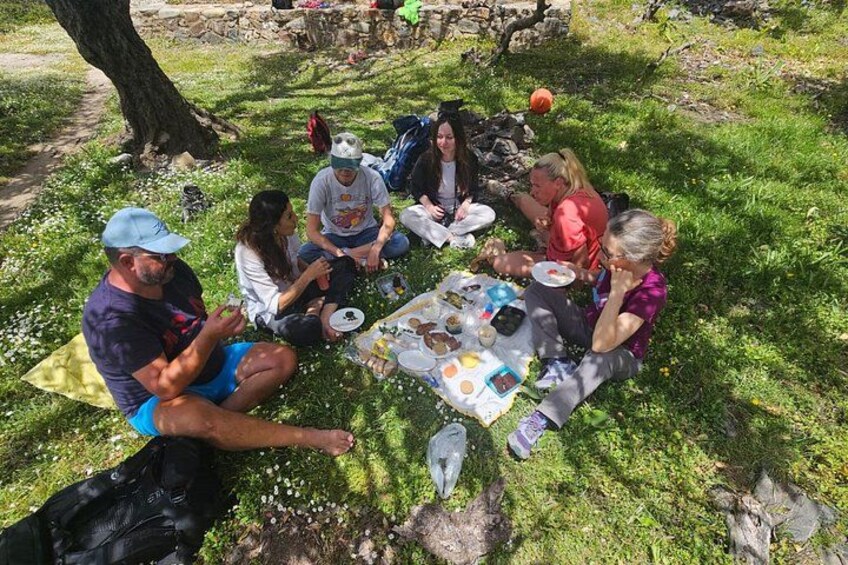 A group of people sitting on the grass around a picnic table with food and drinks. 4