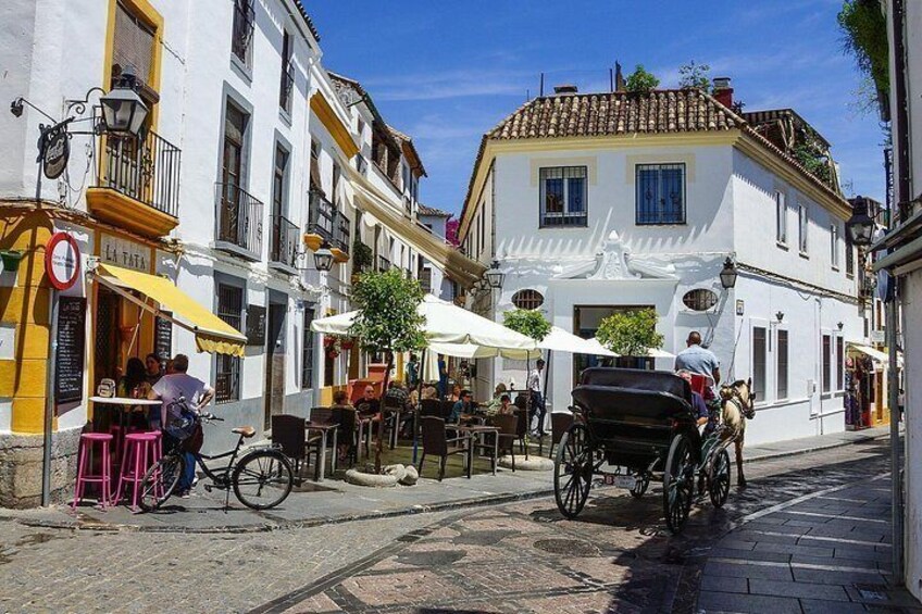 Cordoba Essentials: Roman Bridge Alcazar & Mosque Cathedral 4