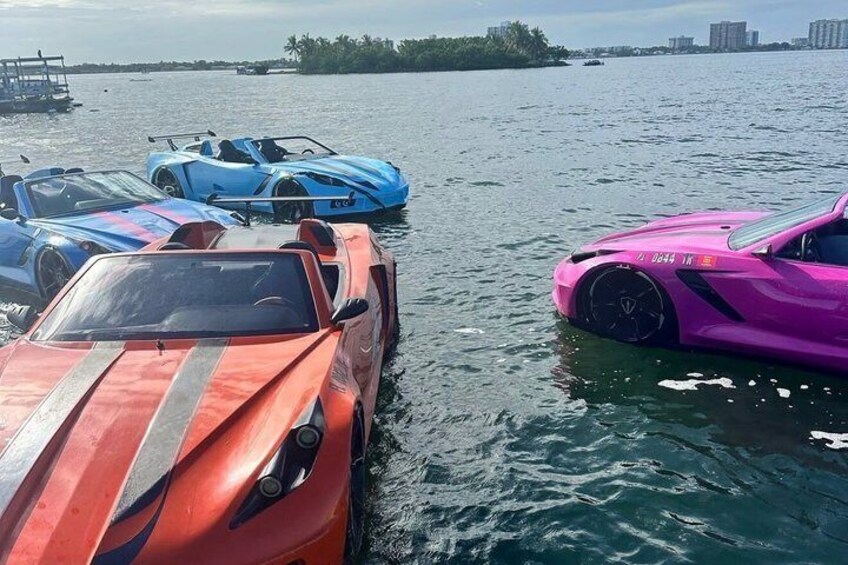 En række sportsvogne parkeret ved vand med en fjerntliggende kystlinje og bygninger. 2