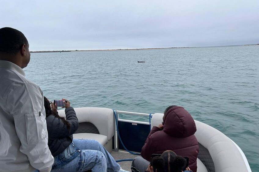 Family Cruises 2
