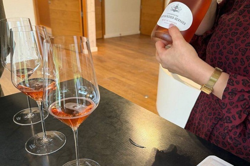 Private Champagne Tour from Paris Dom Pérignon and Ritz Picks 3