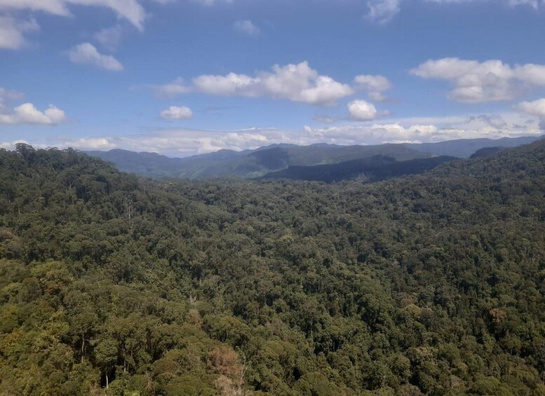 A dense forested landscape with rolling hills and a clear sky. 5