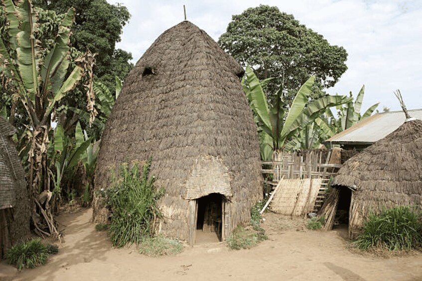 A rural village with thatched-roof huts, banana trees, and a dirt path. 3