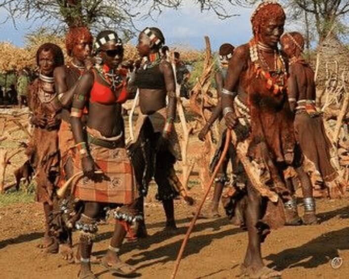 Picture 15 for Activity 5-Day Omo Valley Indigenous Cultures &Adventure tour 3