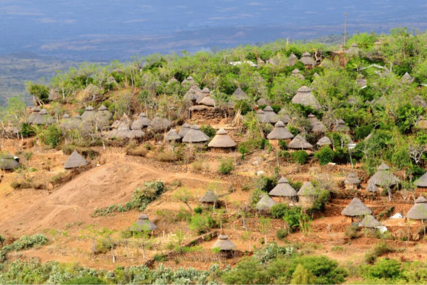 A village with thatched-roof houses nestled in a hilly, green landscape. 5