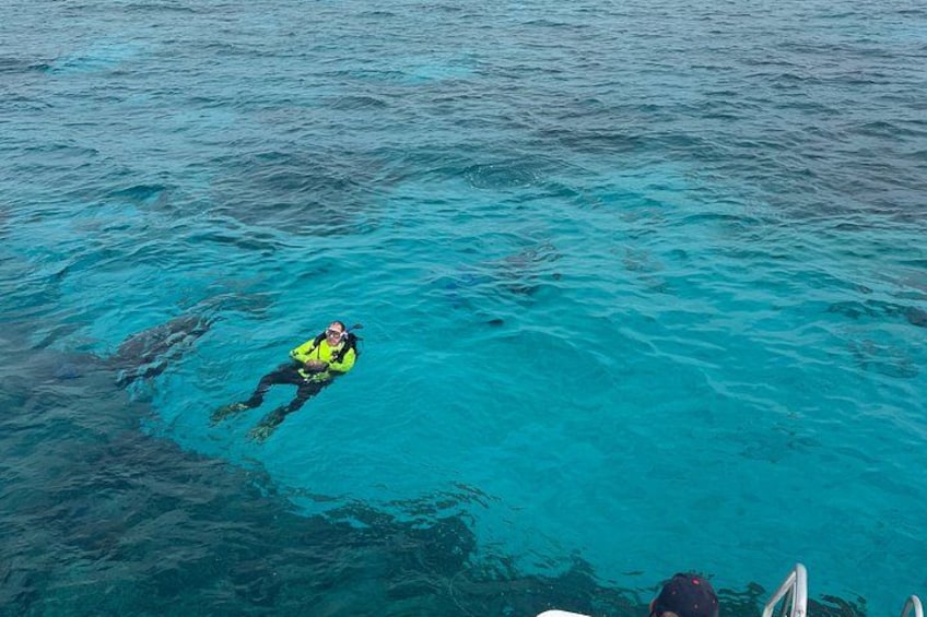 Une personne qui fait de la plongée sous-marine dans une eau bleue et limpide. 4