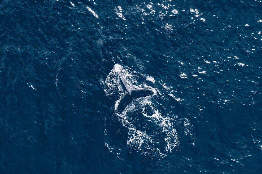 A large body of water with a small, isolated landmass. 4