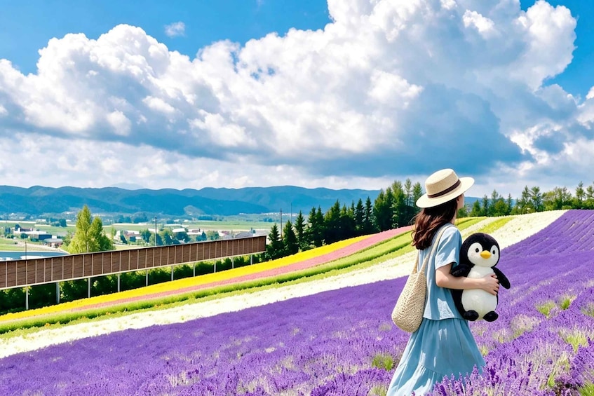 Hokkaido Tour: Asahiyama Zoo, Blue Pond, Tomita Farm 1