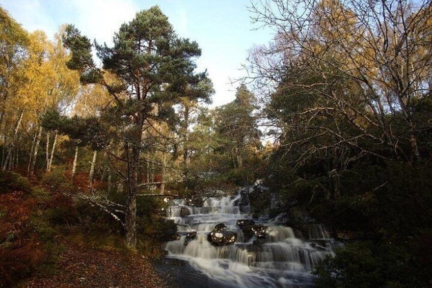 A waterfall in a forested area with autumn foliage. 4