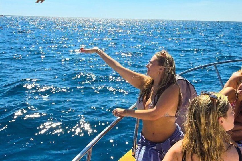 Cinque Terre Boat Tour Departing from Monterosso 2