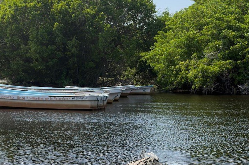 A calm river with several boats docked along the shore, surrounded by dense green foliage. 1