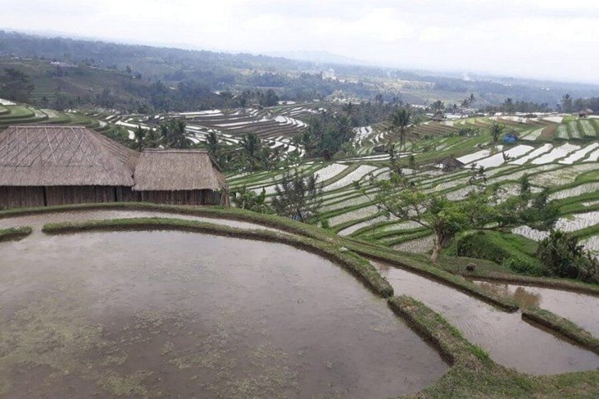 Bali Ultimate Tour Ulun Danu Jatiluwih UNESCO with Sunset 3