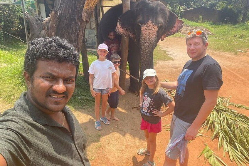 A group of people standing near an elephant, with a tree and some greenery in the background. 5