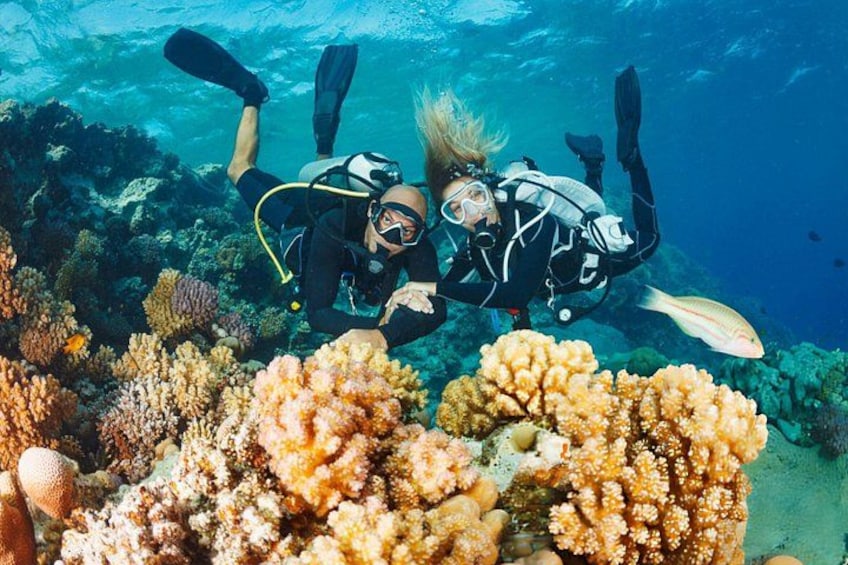 Two scuba divers exploring a coral reef. 2