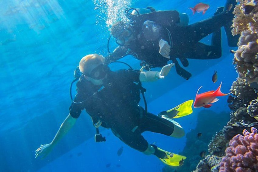 Deux plongeurs sous-marins évoluent au milieu de poissons colorés et de formations coralliennes. 5