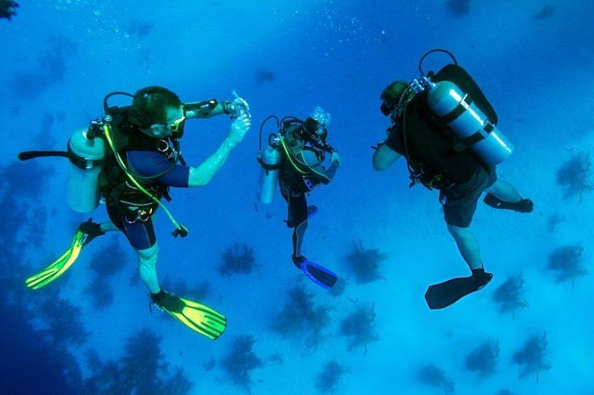 Trois plongeurs sous-marins, équipés de palmes et de bouteilles d’oxygène. 1