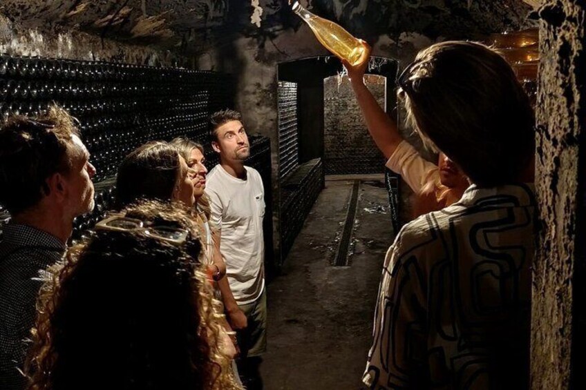 Bairrada Experience Full day with a local Sommelier 2