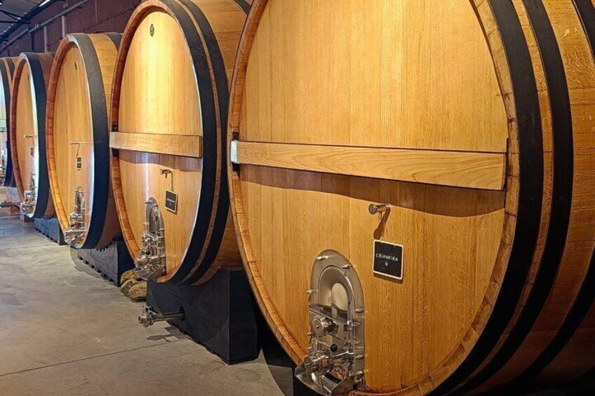 Bairrada Experience Full day with a local Sommelier 4