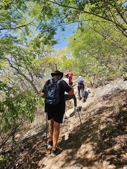 Hikers on a dirt trail surrounded by trees. 2