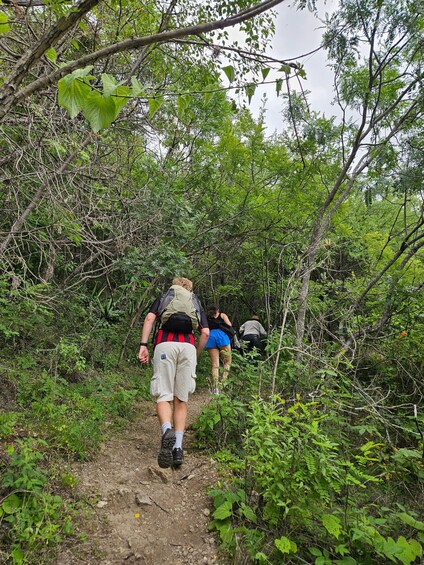 A forested hiking trail with hikers. 5