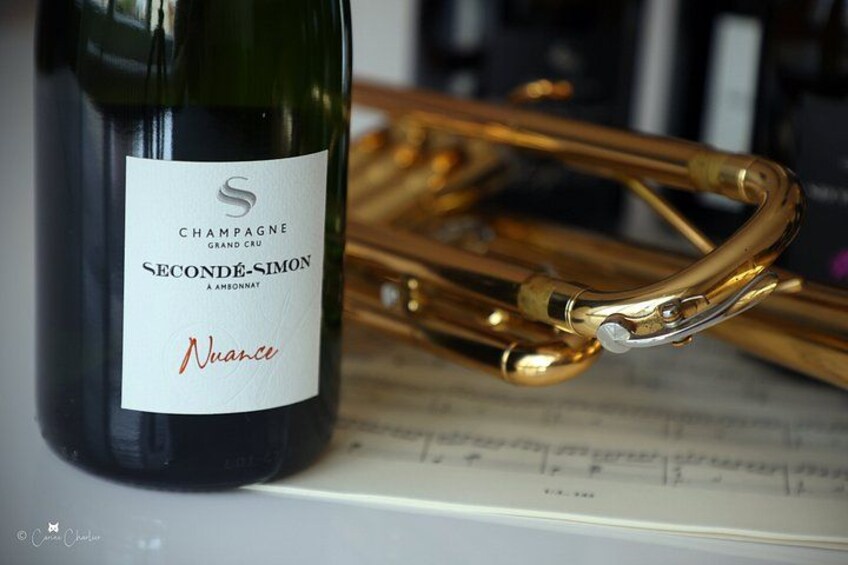 Champagne Discovery Moet Chandon and Family Estate Seconde-Simon 4