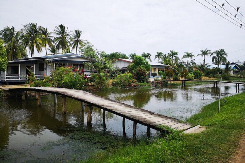 A wooden bridge over a body of water, surrounded by greenery and palm trees. 1