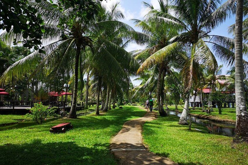 A pathway lined with palm trees, a grassy area, and a small water body. 2