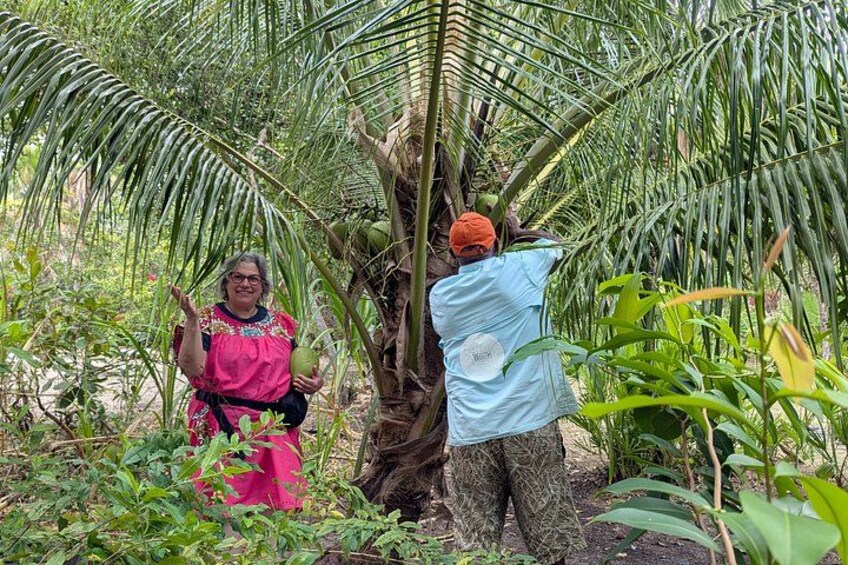 Hopkins Kayaking and Garifuna Cooking Experience 3