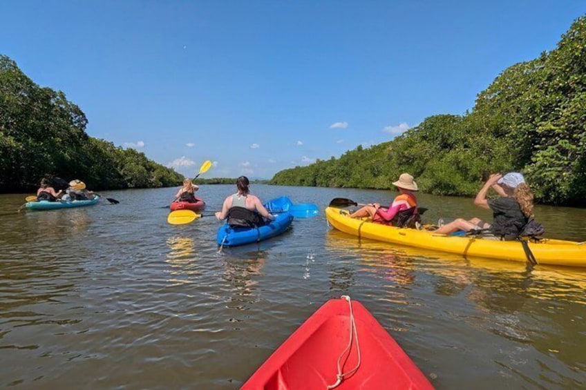 Hopkins Kayaking and Garifuna Cooking Experience 1