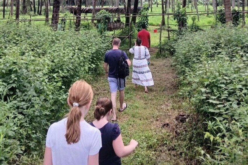 Immersive Coconut Experience by Mulgao Verde 5