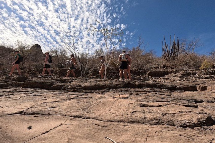 Un gruppo di persone fa trekking su un terreno roccioso con poca vegetazione e cielo sereno. 3