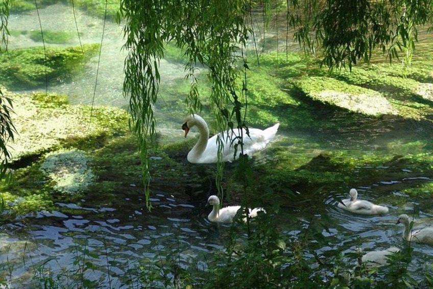 Private Northern Lagoon and Sile River Escape 2