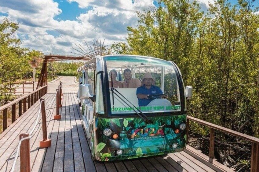 Un autobus vert et blanc sur lequel on pouvait lire « DOZUM BEACH », était garé sur une promenade en bois bordée d’arbres. 2
