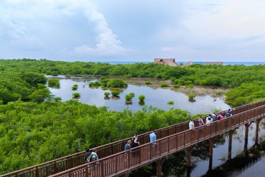 Cozumel: Full Experience Water Park and Zipline in Kuza Beach 4