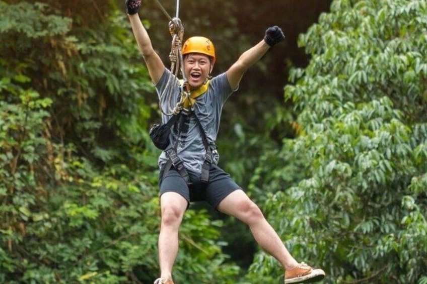 A person zip-lining through a forested area. 1