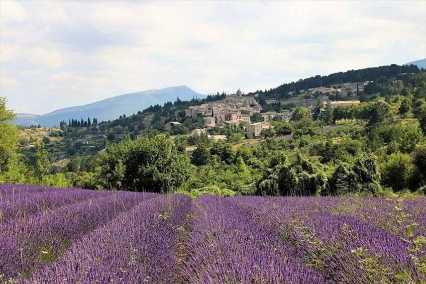 Private Tour of Provence Lavender Fields and Scenic Vistas 3