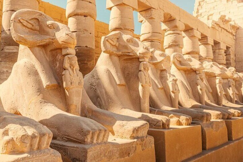 Eine Reihe antiker ägyptischer Sphinx-Statuen. 5