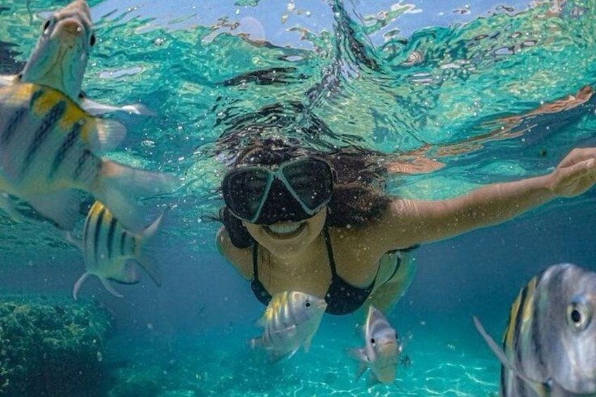 Eine Person schnappt unter Wasser mit Fischen. 4