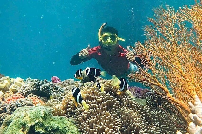Nha Trang Mun Island Snorkeling, Fishing, Mini Beach Hopping Tour 1