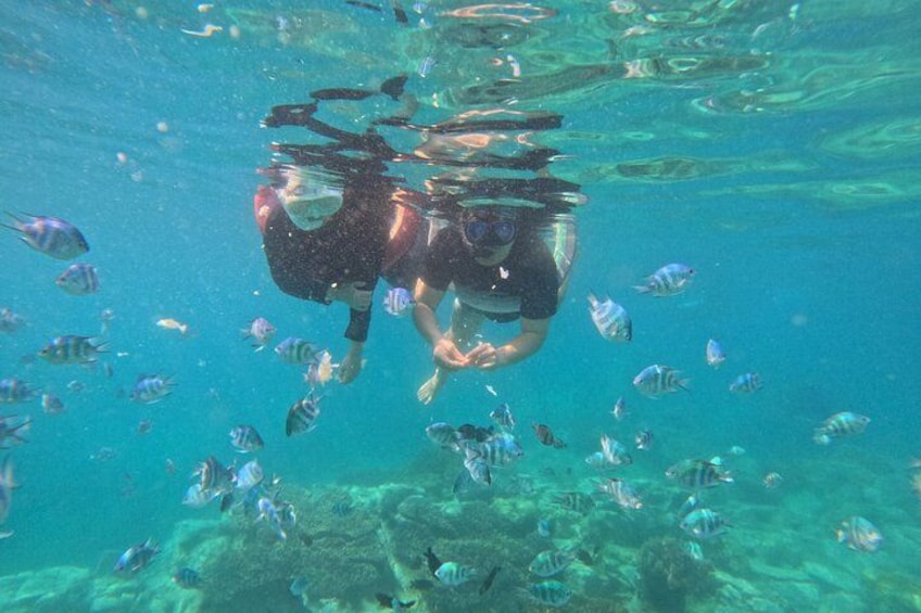 A person snorkeling underwater surrounded by fish. 2