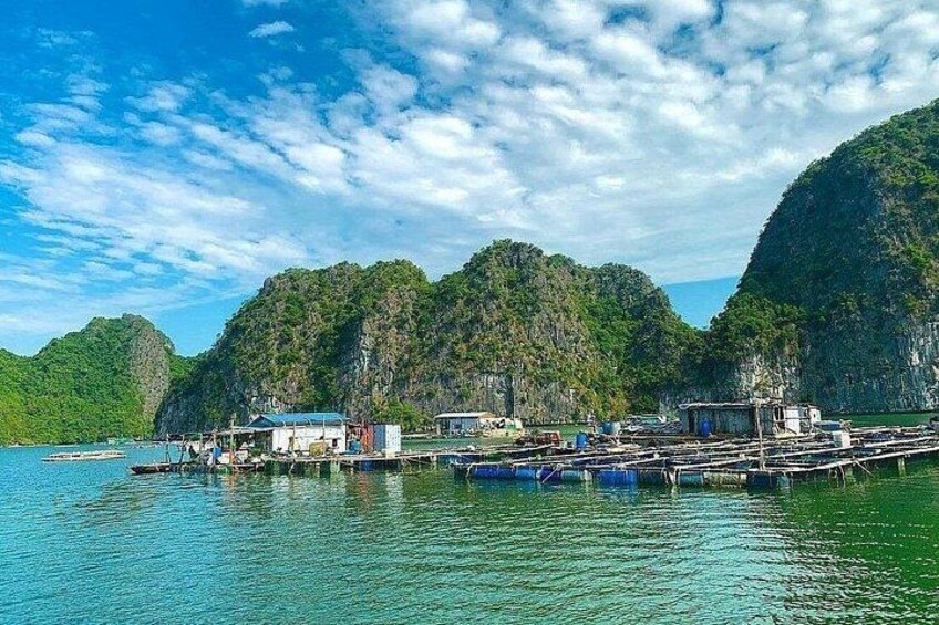 A coastal scene with a pier extending into calm waters, surrounded by lush green hills. 5